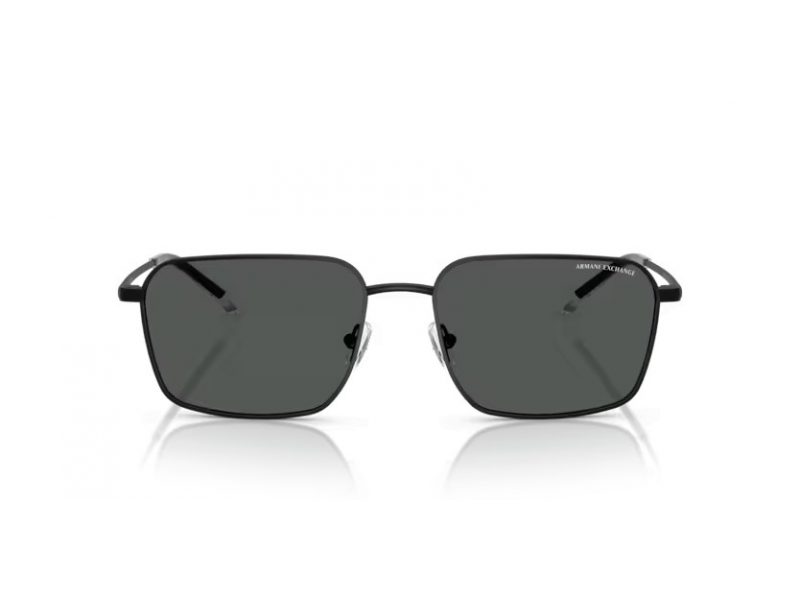 Armani Exchange Gafas de Sol AX 2053S 600087