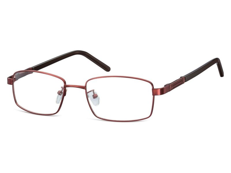 Berkeley Gafas para ordenador 659B