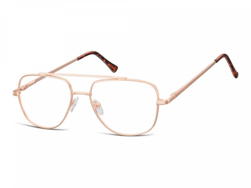 Berkeley Gafas para ordenador 787D