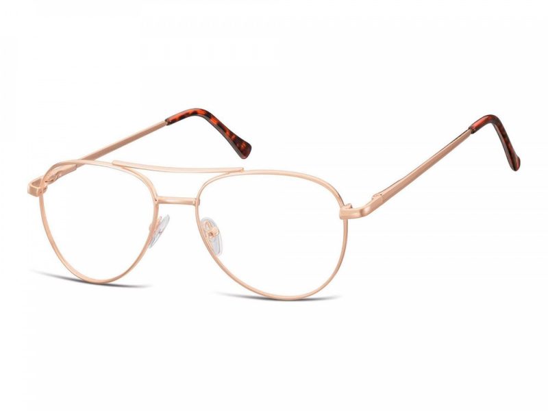 Berkeley Gafas para ordenador 789D