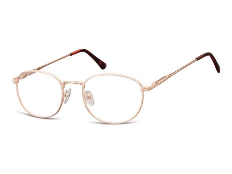 Berkeley Gafas para ordenador 794C