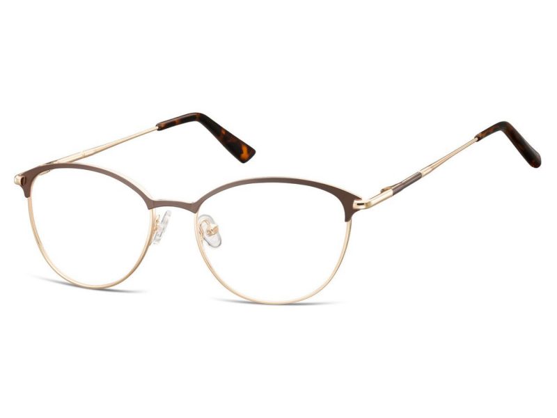 Berkeley Gafas para ordenador 891B