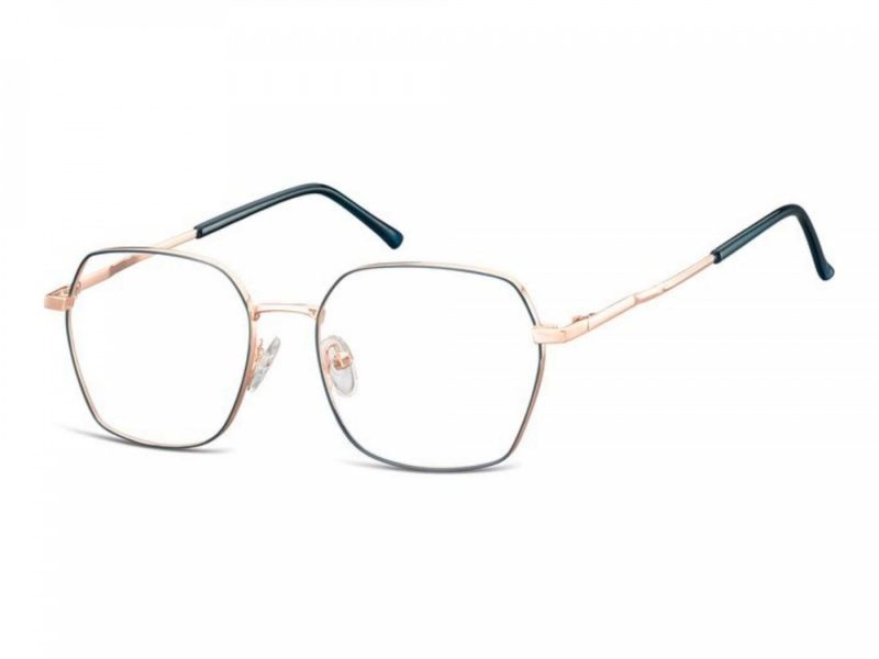 Berkeley Gafas para ordenador 913C