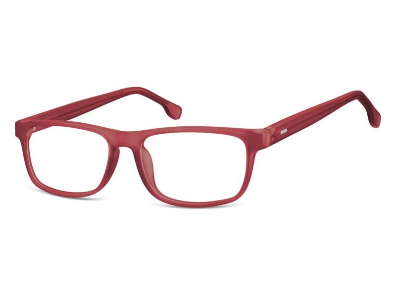 Berkeley Gafas para ordenador CP122H