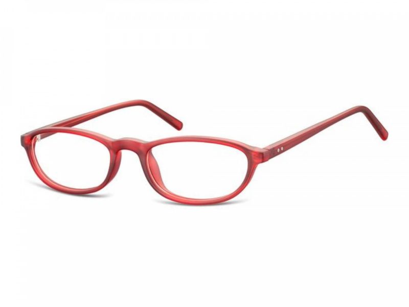 Berkeley Gafas para ordenador CP131C