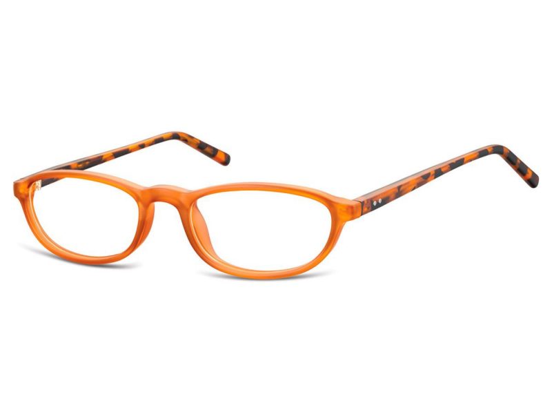 Berkeley Gafas para ordenador CP131D