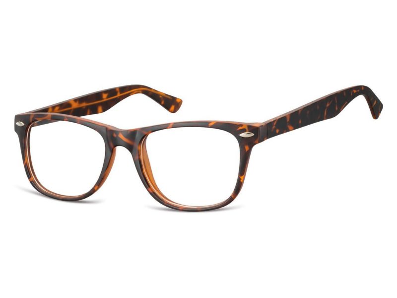 Berkeley Gafas para ordenador CP134B