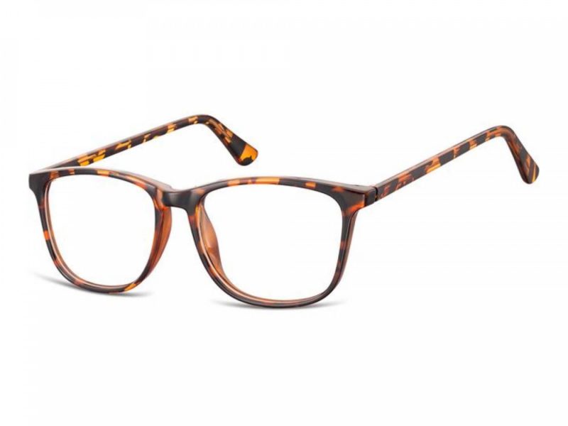 Berkeley Gafas para ordenador CP141B