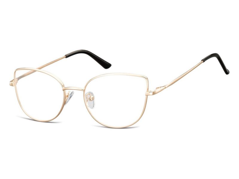 Berkeley Gafas para ordenador L119C