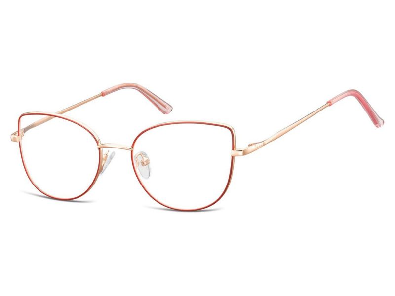 Berkeley Gafas para ordenador L119