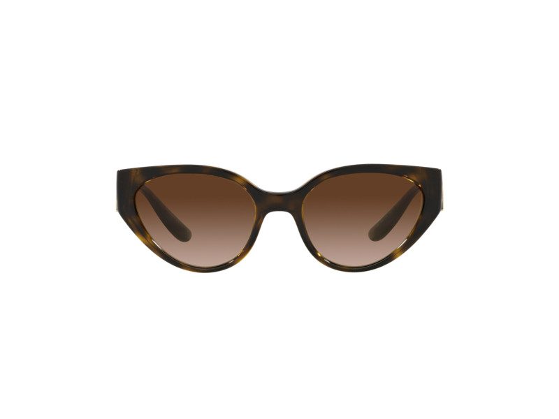 Dolce & Gabbana Gafas de Sol DG 6146 502/13