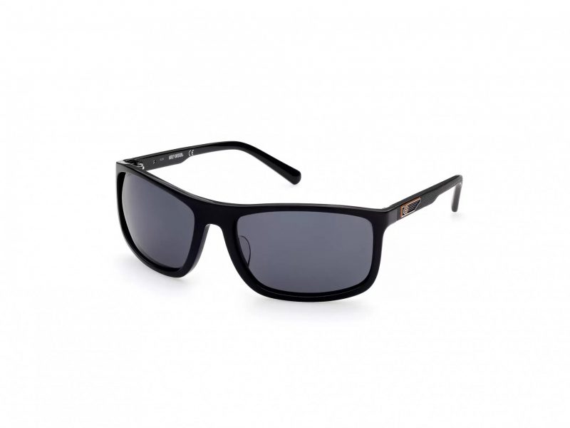 Gafas de Sol HD 0956X 01D