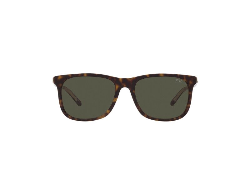 Polo Gafas de Sol PH 4186U 6027/82