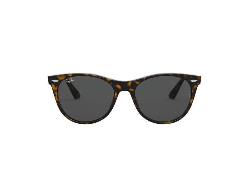 Ray-Ban Wayfarer Ii Gafas de Sol RB 2185 1292/B1