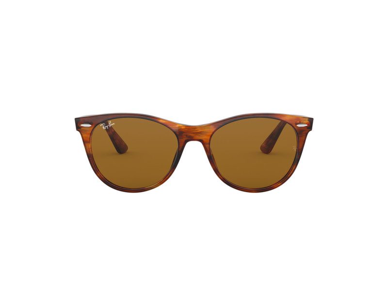 Ray-Ban Wayfarer Ii Gafas de Sol RB 2185 954/33