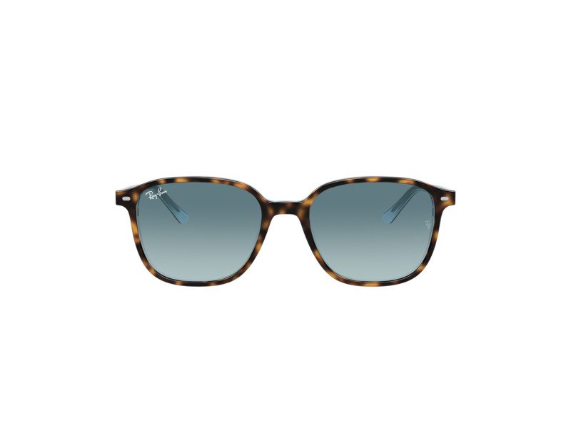 Ray-Ban Leonard Gafas de Sol RB 2193 1316/3M