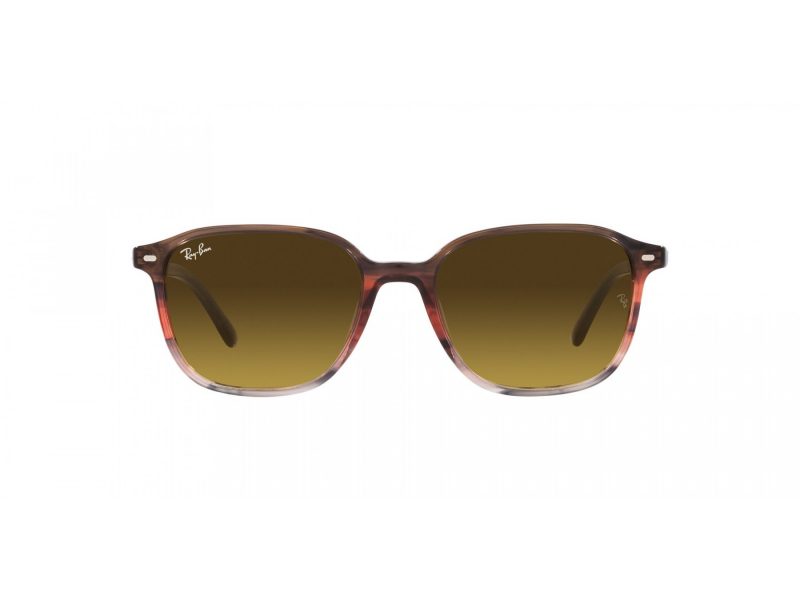 Ray-Ban Leonard Gafas de Sol RB 2193 138085