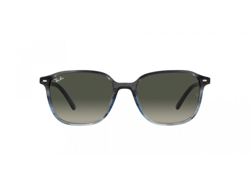 Ray-Ban Leonard Gafas de Sol RB 2193 138171