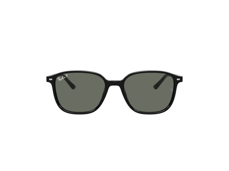 Ray-Ban Leonard Gafas de Sol RB 2193 901/58