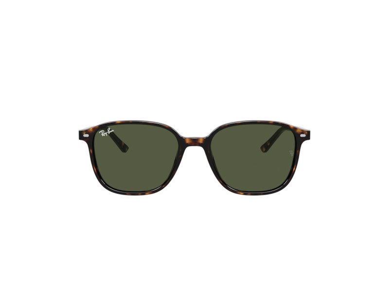 Ray-Ban Leonard Gafas de Sol RB 2193 902/31