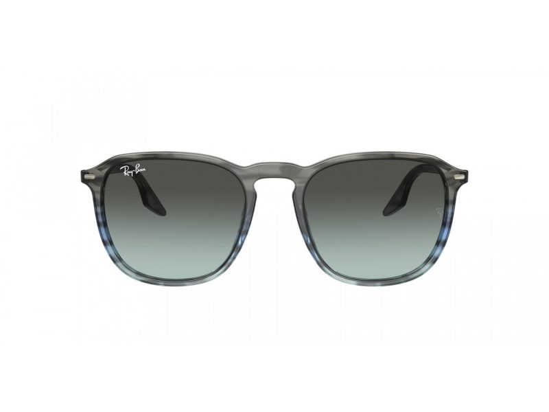 Ray-Ban Gafas de Sol RB 2203 1391GK