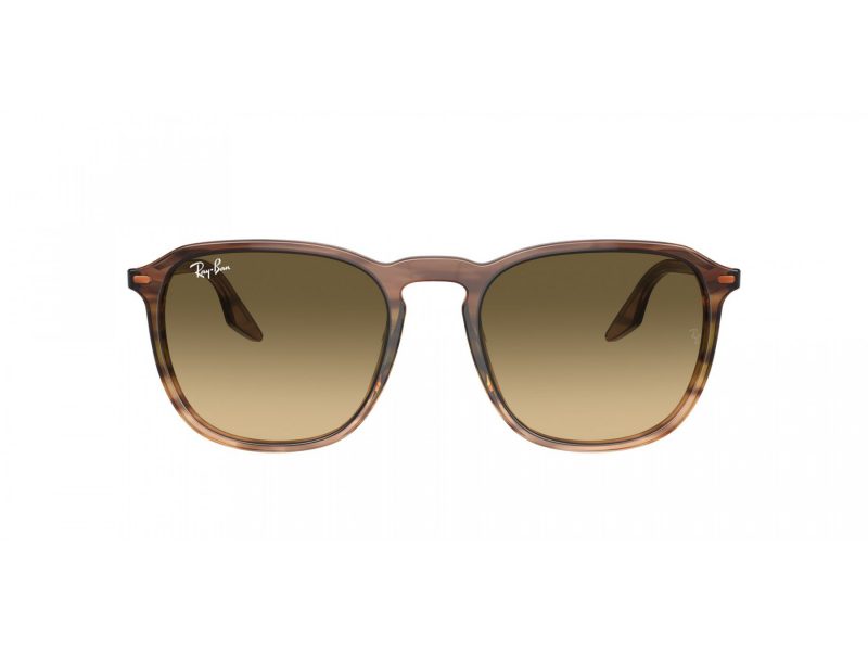 Ray-Ban Gafas de Sol RB 2203 13920A