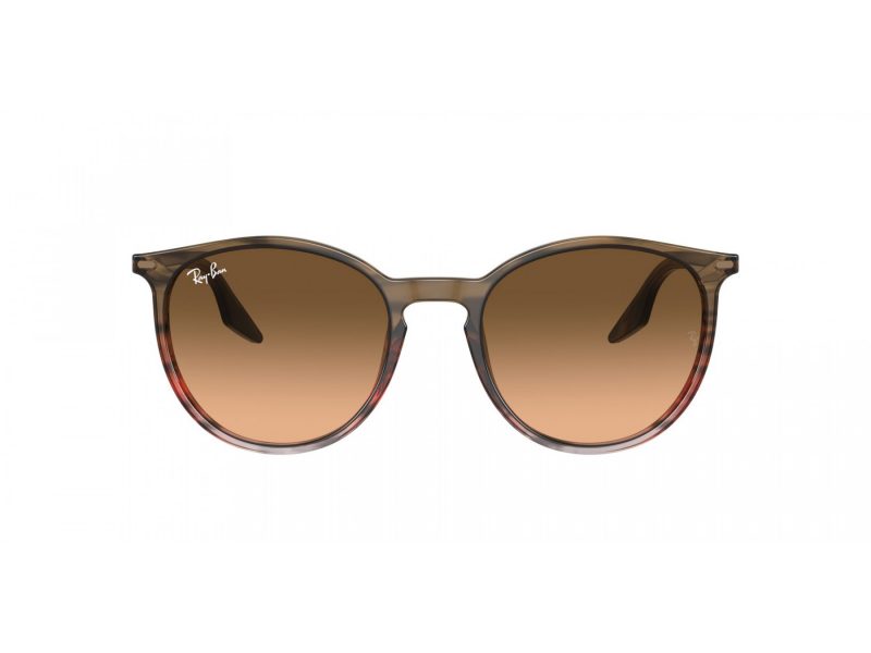 Ray-Ban Gafas de Sol RB 2204 13953B