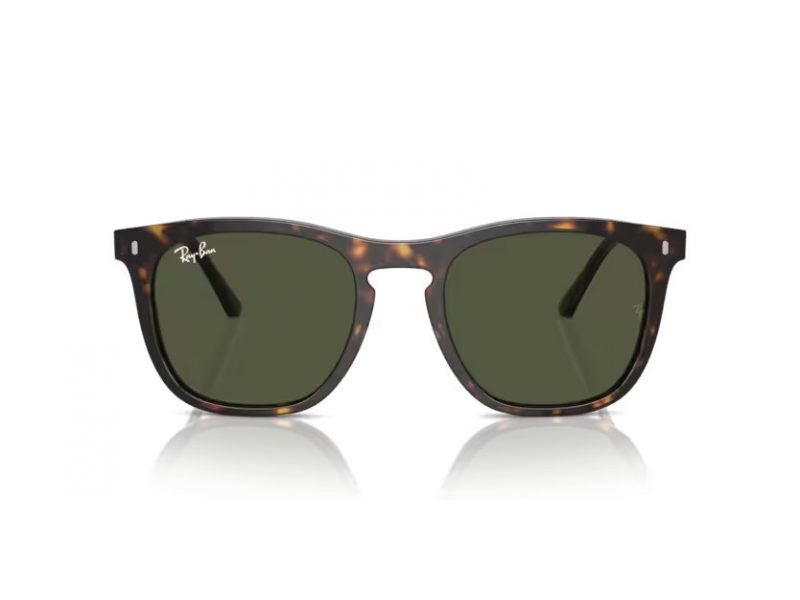 Ray-Ban Gafas de Sol RB 2210 902/31