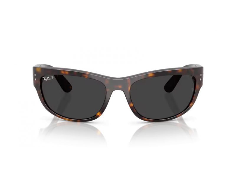 Ray-Ban Mega Balorama Gafas de Sol RB 2289 902/48