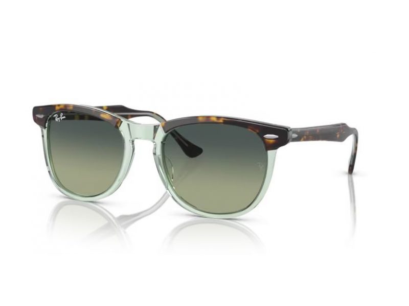 Ray-Ban Eagleeye Gafas de Sol RB 2398 1376BH