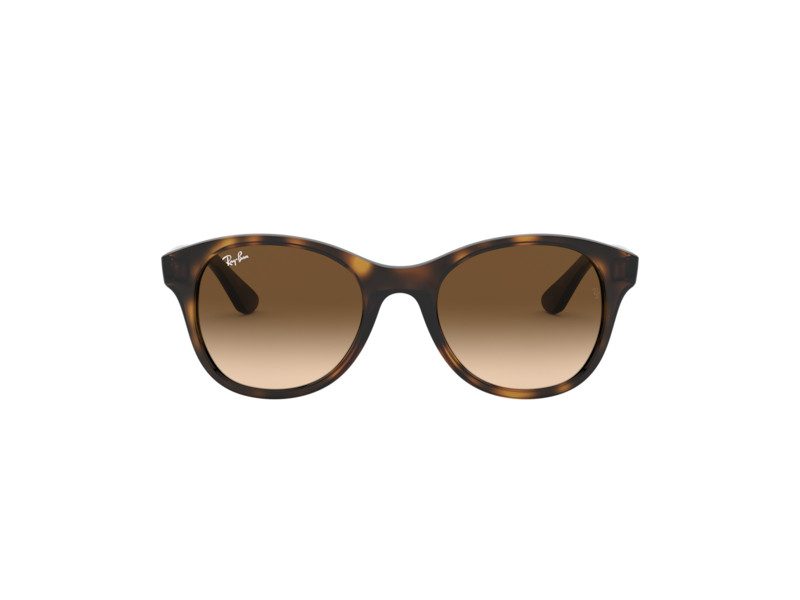 Ray-Ban Gafas de Sol RB 4203 710/13