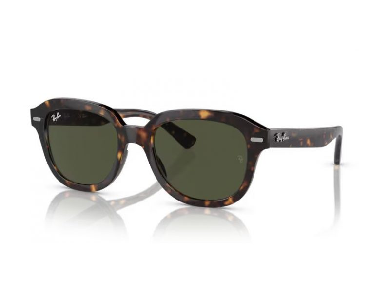 Ray-Ban Erik Gafas de Sol RB 0RB4398 902/31