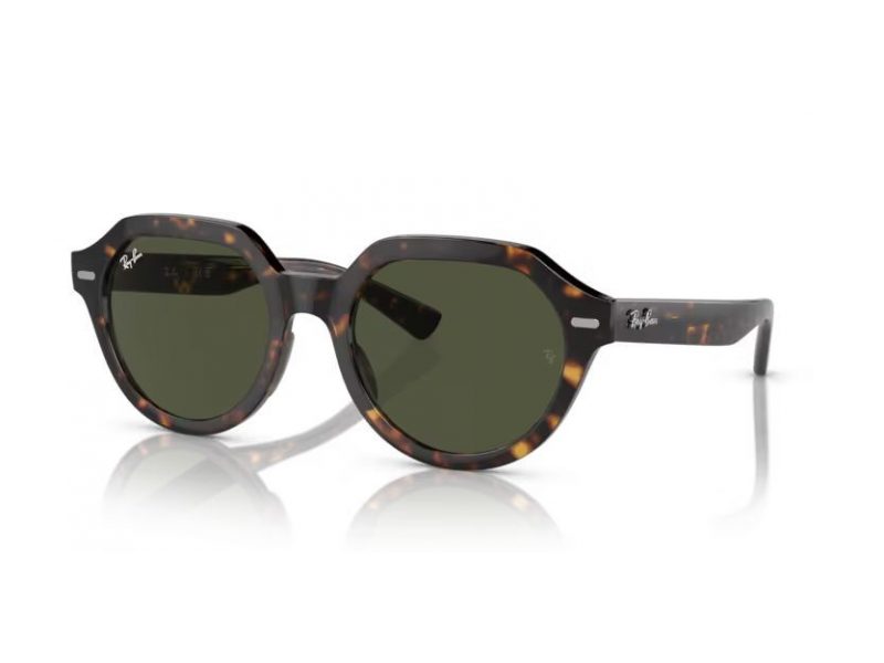 Ray-Ban Gina Gafas de Sol RB 4399 902/31