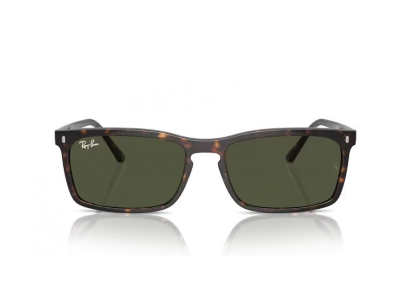 Ray-Ban Gafas de Sol RB 4435 902/31