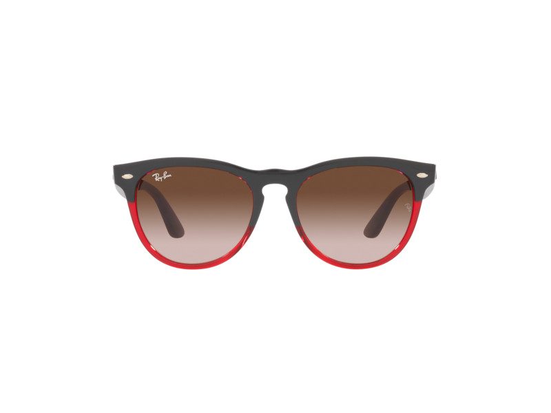 Ray-Ban Iris Gafas de Sol RB 4471 6631/13