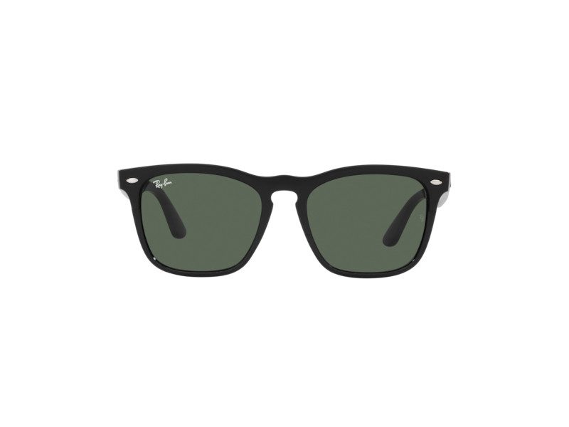 Ray-Ban Steve Gafas de Sol RB 4487 6629/71