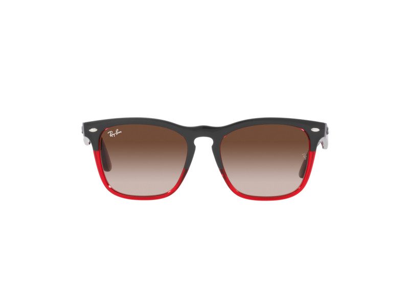 Ray-Ban Steve Gafas de Sol RB 4487 6631/13