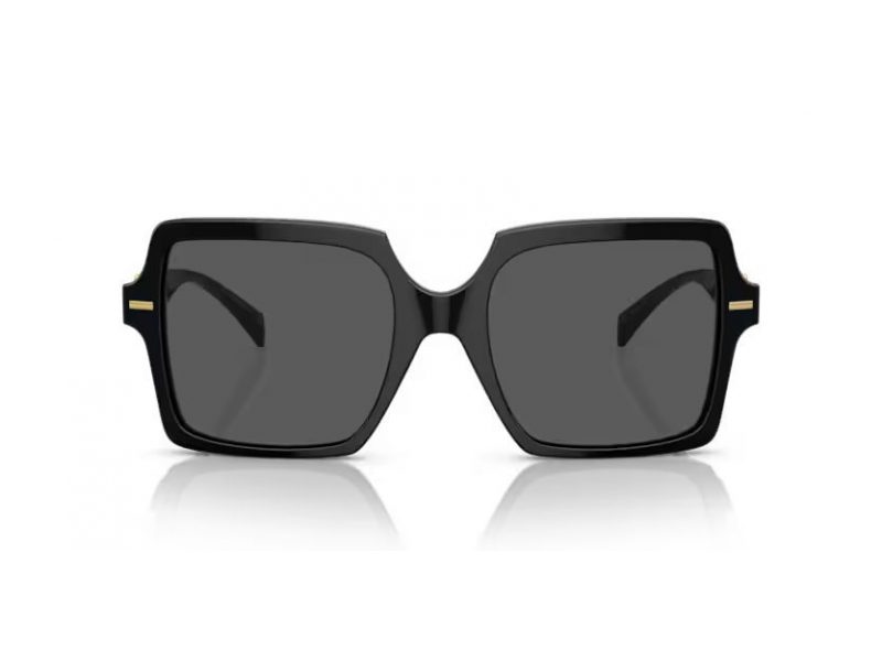 Versace Gafas de Sol VE 4441 GB1/87